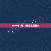 1985年1月21日出生属什么，19851月21日出生是什么星座