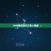 2005年鸡的天乙贵人属相，属鸡的有天乙贵人吗