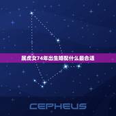 属虎女74年出生婚配什么最合适，74年属虎女人和什么属相的男人最配？