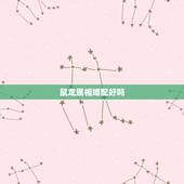 鼠龙属相婚配好吗，属相婚配：男属龙和女属龙相配吗