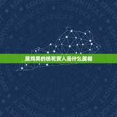 属鸡男的桃花贵人是什么属相，今年属鸡的桃花运会怎样呢？