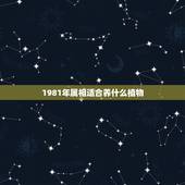 1981年属相适合养什么植物，1981年是什么命