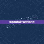 蛇和龙属相合不合工作合不合，属龙和属蛇属相可合？
