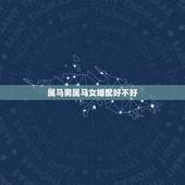 属马男属马女婚配好不好，90年男属马与92年女属猴的婚配好不好