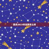 属虎2023年运势怎么样，62年属虎人2023年运势