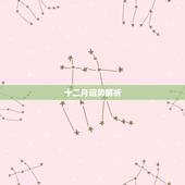 十二月运势解析，射手十二月运势