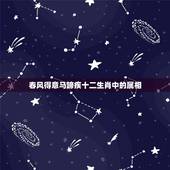 春风得意马蹄疾十二生肖中的属相，春风得意马蹄疾是什么肖