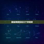 属鼠男微信名三个字招财，男人好运旺财微信名有哪些？