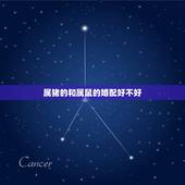 属猪的和属鼠的婚配好不好，属鼠男与属猪女婚配吗？