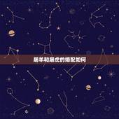 屠羊和屠虎的婚配如何，男屠羊的和女屠蛇的在一起的命运怎么样