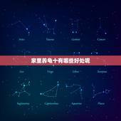 家里养龟十有哪些好处呢 家里养龟有什么好处？