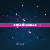 属狗人2023年运势运程，82年属狗未来5年运势？
