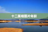 十二属相图片年龄，年龄加属图片