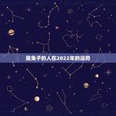 属兔子的人在2022年的运势，2023年属兔的全年运势