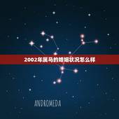 2002年属马的婚姻状况怎么样，2002年属马女婚配