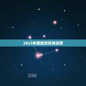 2023年属蛇很惨吗(介绍属蛇人的2023运势如何)
