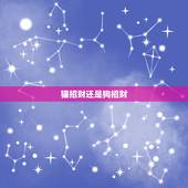 猫招财还是狗招财，风水 我属狗 想在家里摆招财猫的工艺品 这个有什么要