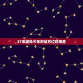 87年属兔今年财运方位在哪里，87年属兔的人今年的财运在哪边