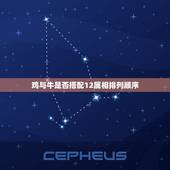 鸡与牛是否搭配12属相排列顺序，什么动物最旺属相鸡和牛