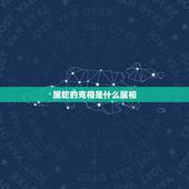 属蛇的克相是什么属相，1977年属蛇和什么相克