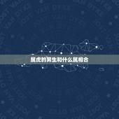 属虎的男生和什么属相合，属虎的男和属什么相配