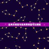 生肖女老鼠与生肖男老鼠可比婚配，属老鼠的女人，不能和什么属相男配？
