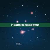 71年男猪2022年运程烂桃花，2022 年属狗人的全年运势男性1982