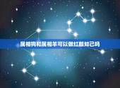 属相狗和属相羊可以做红颜知己吗，属狗的和属羊的做朋友合吗，