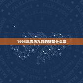 1995年农历九月的猪是什么命，1995年9月初二属猪是什么命？