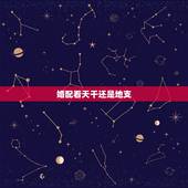 婚配看天干还是地支，在走大运时是主要看天干，还是地支