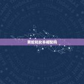男蛇和女羊相配吗，男属蛇女属羊相配吗夫妻
