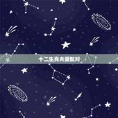 十二生肖夫妻配对，更佳生肖配对婚配