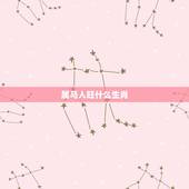 属马人旺什么生肖，马年和什么生肖相冲相克