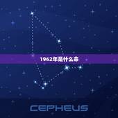 1962年是什么命，属虎1962年更大寿命
