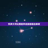 怀多久可以用验孕试纸检验出来呀，怀孕初不知道还了怎么办