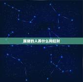 属猪的人养什么狗旺财，属猪的家里放什么动物好