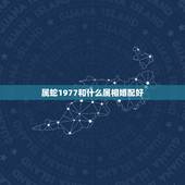 属蛇1977和什么属相婚配好，1977年属蛇的人和什么属相合作最好