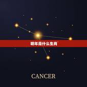明年是什么生肖，十二生肖，明年是什么年啊 ？