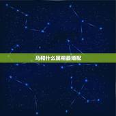 马和什么属相最婚配，属马的和什么属相最配