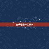 金水号是什么数字，什么是八字金水