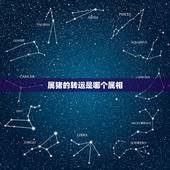 属猪的转运是哪个属相，属猪戴什么转运