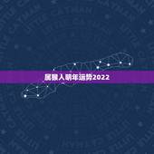 属猴人明年运势2022，92年属猴一生大劫年