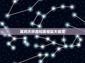 属鸡天秤座和属相鼠天蝎女，天蝎女鼠跟什么属相星座最配