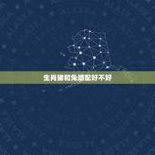 生肖猪和兔婚配好不好，男生肖兔和女生肖猪相配吗