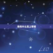 兔和什么是上等婚，属兔和什么属相最配