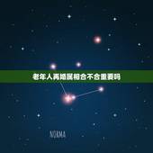老年人再婚属相合不合重要吗，婚姻中属相合不合重要吗？