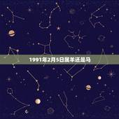 1991年2月5日属羊还是马，1991年属羊五行属什么命