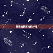 属猪的找属猪的好吗，属猪和属猪是否相配