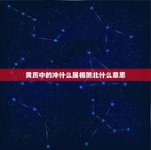 黄历中的冲什么属相煞北什么意思，老黄历上冲龙（丙辰）煞北什么意思