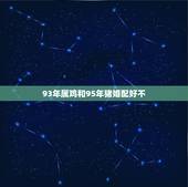 93年属鸡和95年猪婚配好不，我是93年属鸡跟95年属猪婚姻配吗
